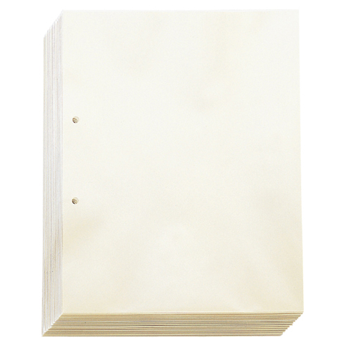 透明ﾎﾟｹｯﾄ A4ﾀﾃ 2穴 台紙あり 1ﾊﾟｯｸ(100枚)画像