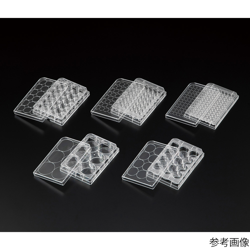 ビオラモ浮遊細胞用培養プレートα 6ウェル 1箱(50包入)画像