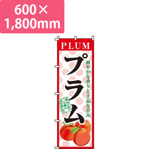 プラム画像