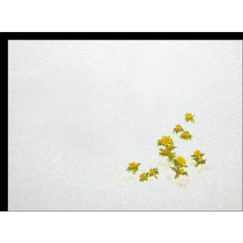 膳掛紙 No.538 福寿草 1組(100枚)画像