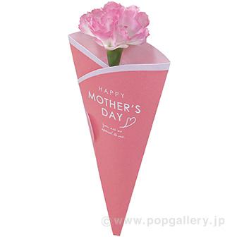 母の日ピンクカーネーション（メッセージカード付）画像