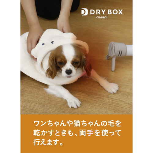 布団乾燥機　衣類ふとんドライヤー 製品の正面がはっきりと見える状態、電源ボタンと操作パネルが見える。