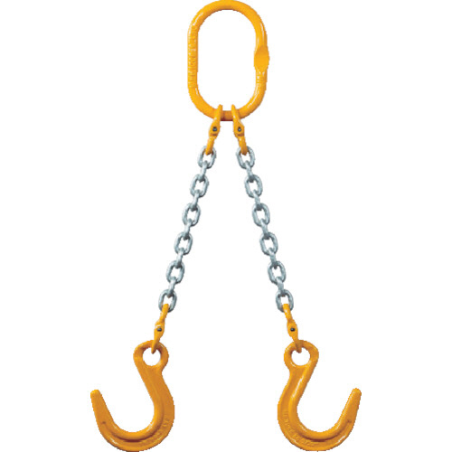 ﾁｪｰﾝｽﾘﾝｸﾞ100(ｱｲﾀｲﾌﾟ) 1台画像