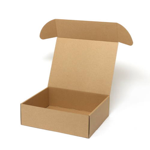 ナチュラルＢＯＸ（サイド差込・260×317×高100mm）画像