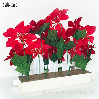 ポインセチア垣根スタンド 緑の葉と赤い鮮やかな花が咲いた状態