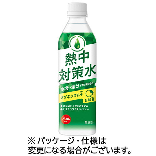 熱中対策水　日向夏味　500mL　ペットボトル　1セット(48本:24本×2ケース)画像