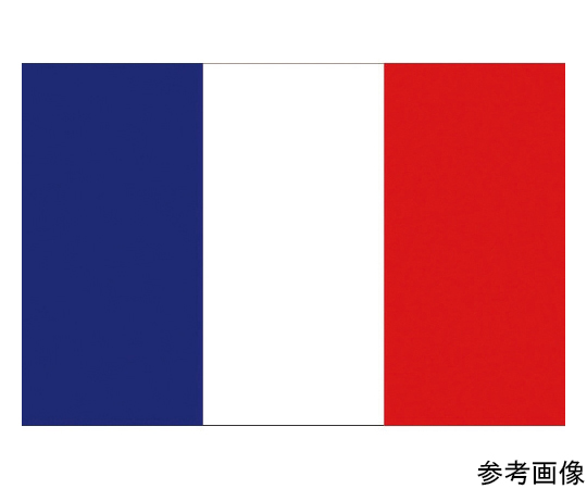 国旗No.2（90×135cm）　フランス