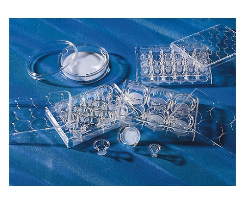 トランズウェル12ウェル0.4μm細胞培養表面処理済み 1ケース（12個×4パック入）画像