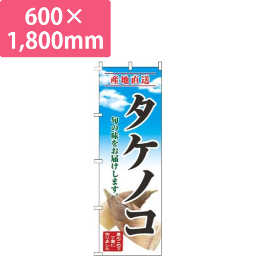 タケノコ青空明画像