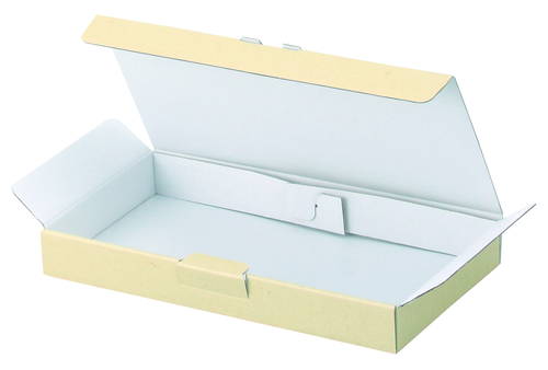 宅配ギフト箱（クリーム・300×230×高30mm）画像