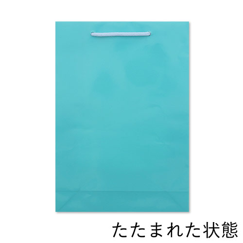 おしゃれなツヤあり仕様で、水色の手提げ紙袋