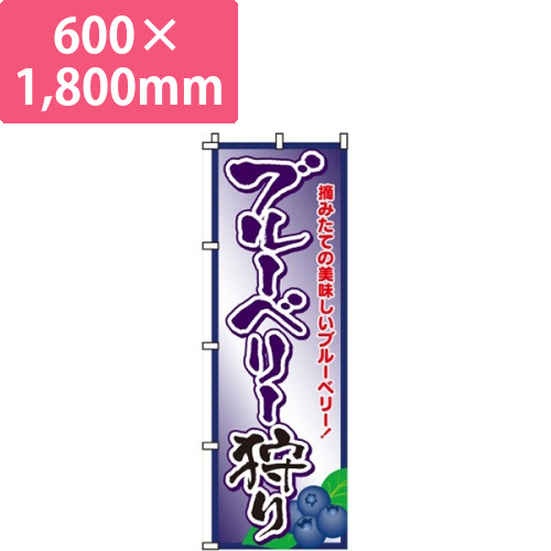 ブルーベリー狩り画像