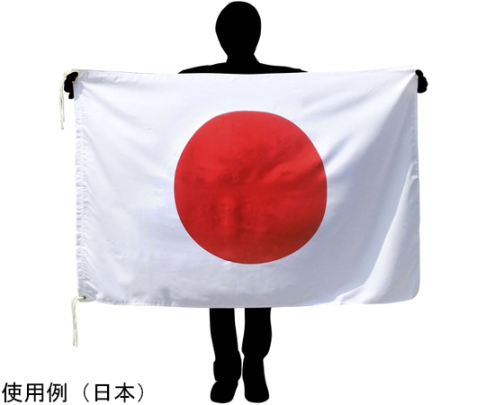 国旗No.2（90×135cm）　フランス 横長に広がるデザインで、上部に青、中央に白、下部に赤のストライプが見える状態。