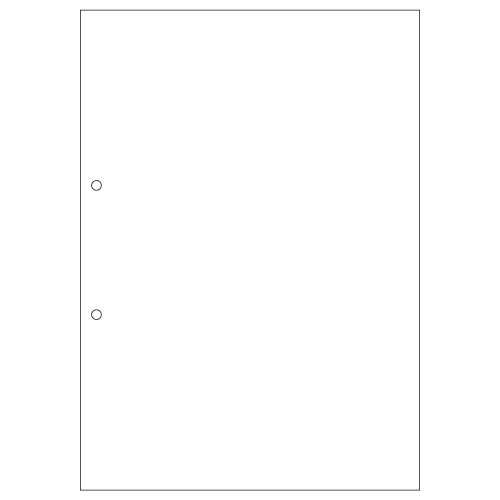 ﾏﾙﾁﾌﾟﾘﾝﾀ帳票(FSC森林認証紙) A4 白紙 2穴 1箱(1200枚)画像