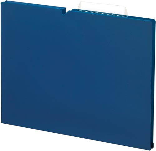 個別フォルダー＜ＮＥＯＳ＞Ａ４　１５ｍｍ紺１０冊画像