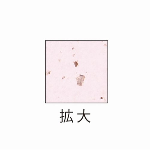 プリンター用紙 サステナブルクラッポ あずき 薄口 10枚入 ヒサゴ パッケージの横面にデザインされたテクスチャと色合いが見える状態