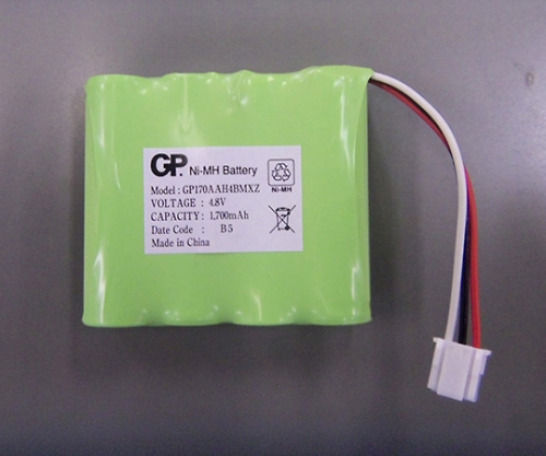 バッテリー（ＤＭ－３０００用）画像