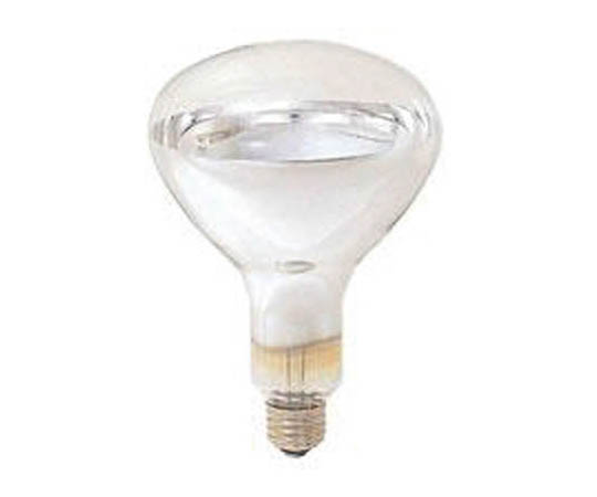 赤外線電球220V250W画像