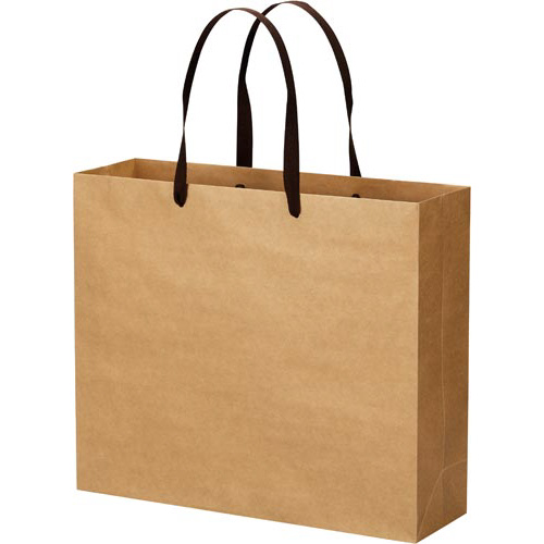 クラフトバッグ　平紐　ＬＬ　１０枚画像