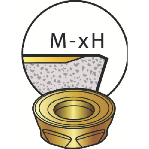ｺﾛﾐﾙ300用ﾁｯﾌﾟ 1010 1個画像