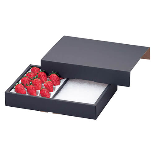 イチゴクッション用２Ｐ画像