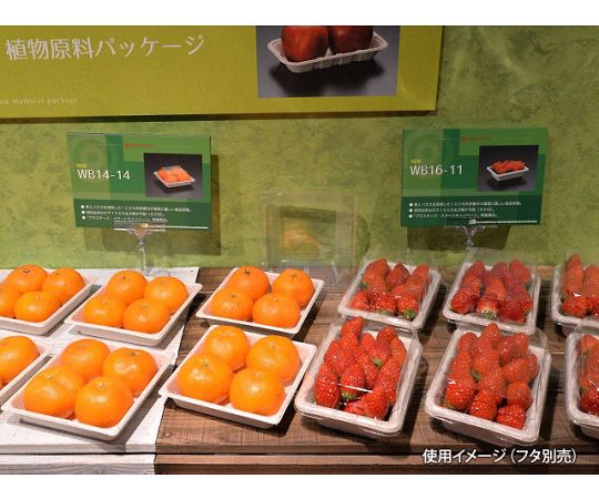 WB麦バガストレー 16-11 1000枚入 透明な袋に入った、整然と積まれた商品の側面が見える状態