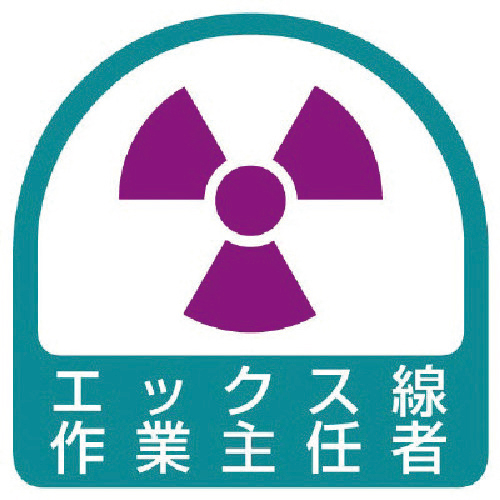 ｽﾃｯｶｰ ｴｯｸｽ線作業主任者･35×35 1組(2枚)画像
