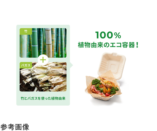 BB竹バガスランチ200-200 クラフト色 50枚×4パック入 複数のパックが並べられた状態で、クラフト色のデザインが目立つ