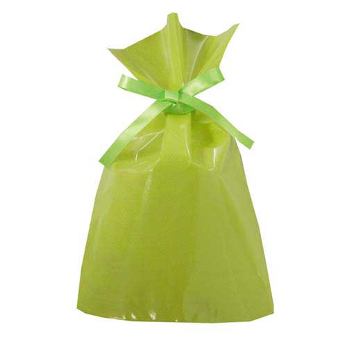 ソフトバッグクリア 2穴リボン巾着 S3 マスカットグリーン画像