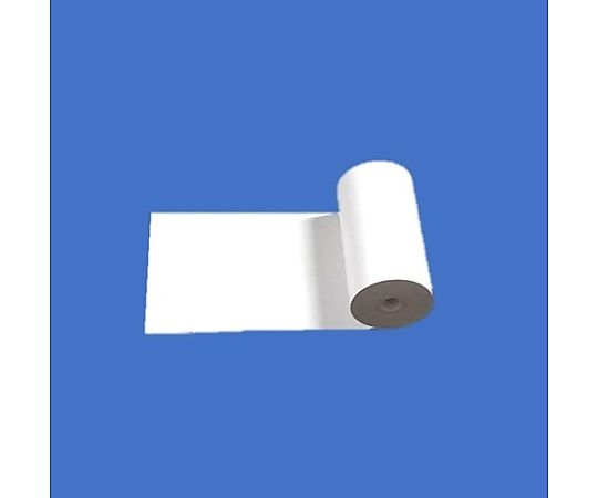 記録紙 DP-A21 1箱（10本入）