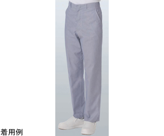 男子パンツ（ストライプ）　ストライプ　W70画像