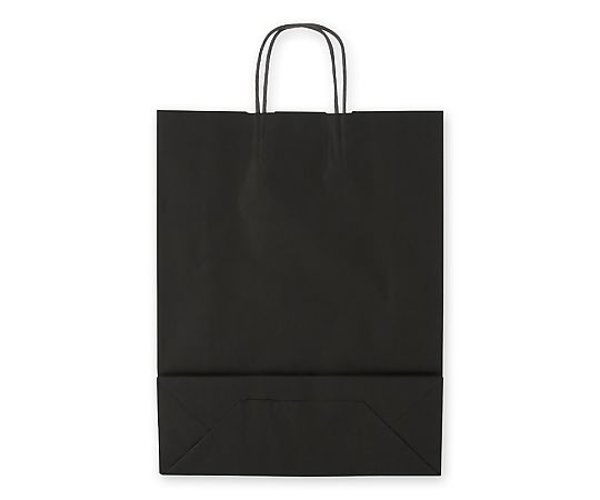 HEIKO 紙袋 25チャームバッグ 25CB 2才 黒無地 50枚 黒無地の紙袋が50枚入ったパッケージが正面から見える状態