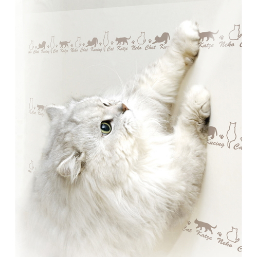ツメ傷保護用シート　コーナー用・ドア用　80cmx180cm　ペット　傷防止　猫　犬　貼ってはがせる　ネコ 透明なシートが貼り付けられたコーナー部分の様子