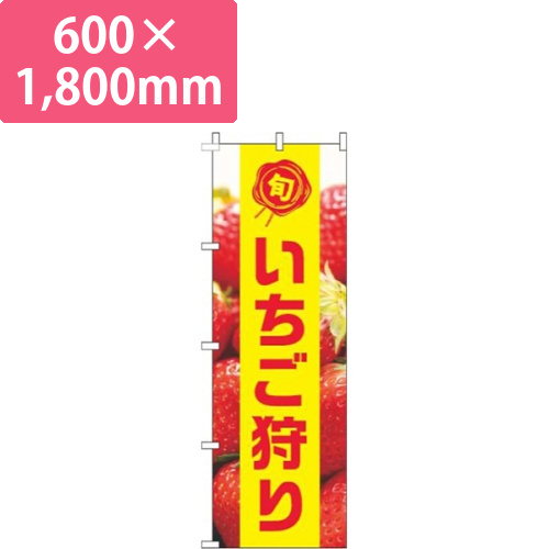 いちご狩り写真黄色帯画像
