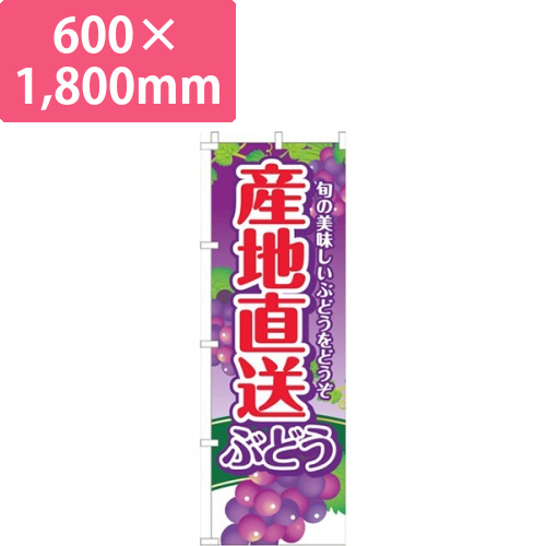 産地直送ぶどう紫グラデーション画像