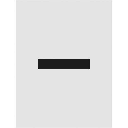 ｽﾃﾝｼﾙ - 文字ｻｲｽﾞ250×125mm 1枚画像