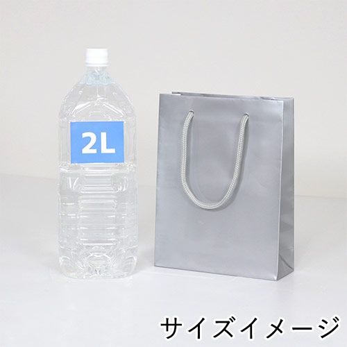 ツヤありPP加工！シルバーで持ち手紐付きの高級ギフトバッグ