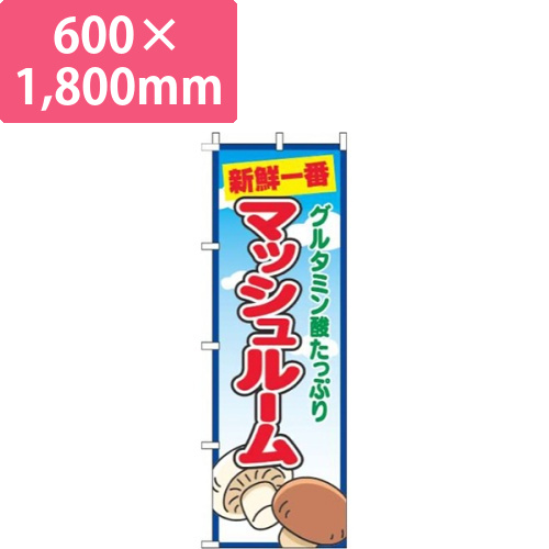 マッシュルーム青空丸画像