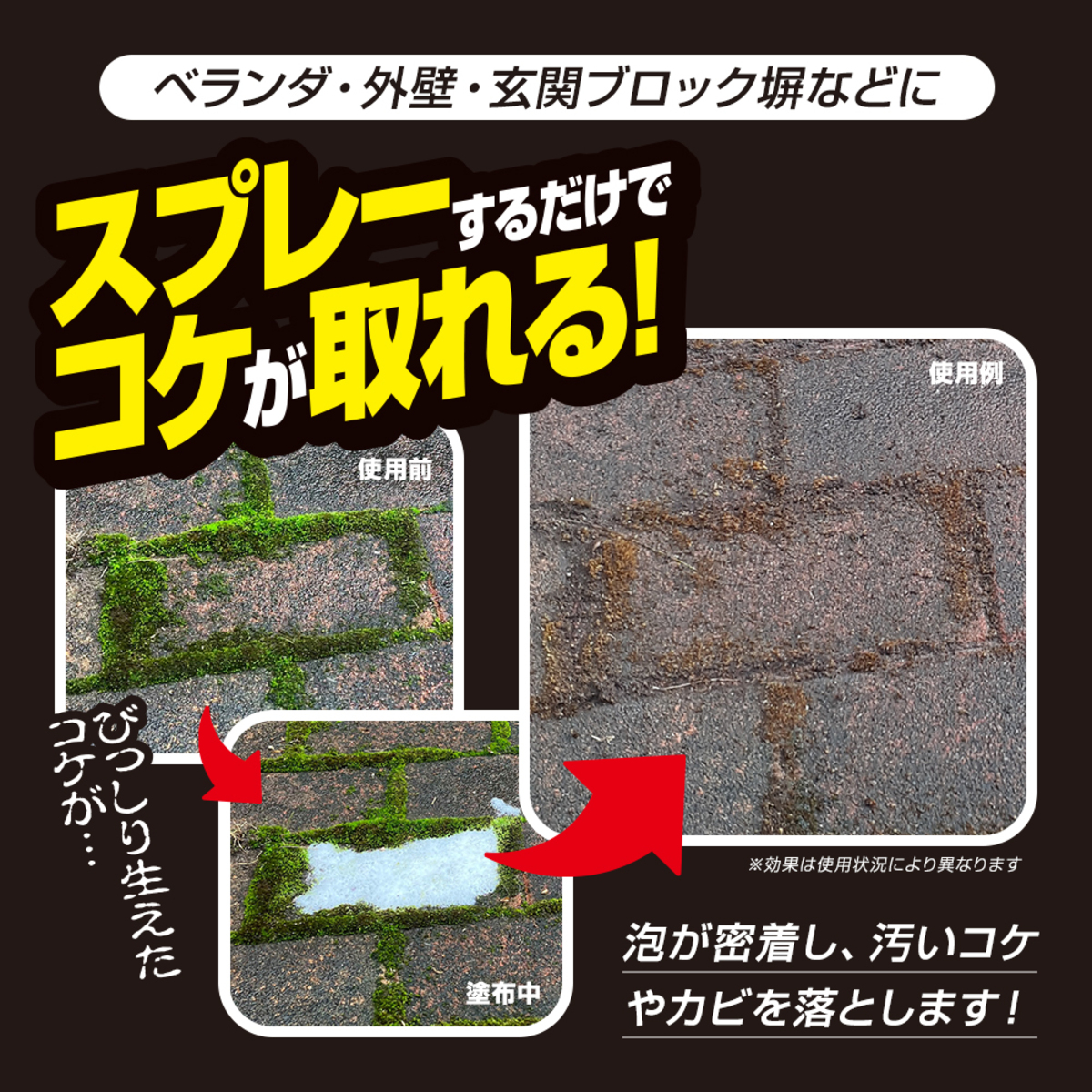 洗剤　業務用ガチ落ちコケ・カビ取り　1009905 透明な容器に入った液体が明るい背景で見える状態
